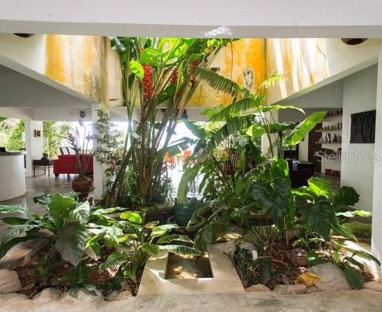 Pitahaya CAMINO LOS POLACOS