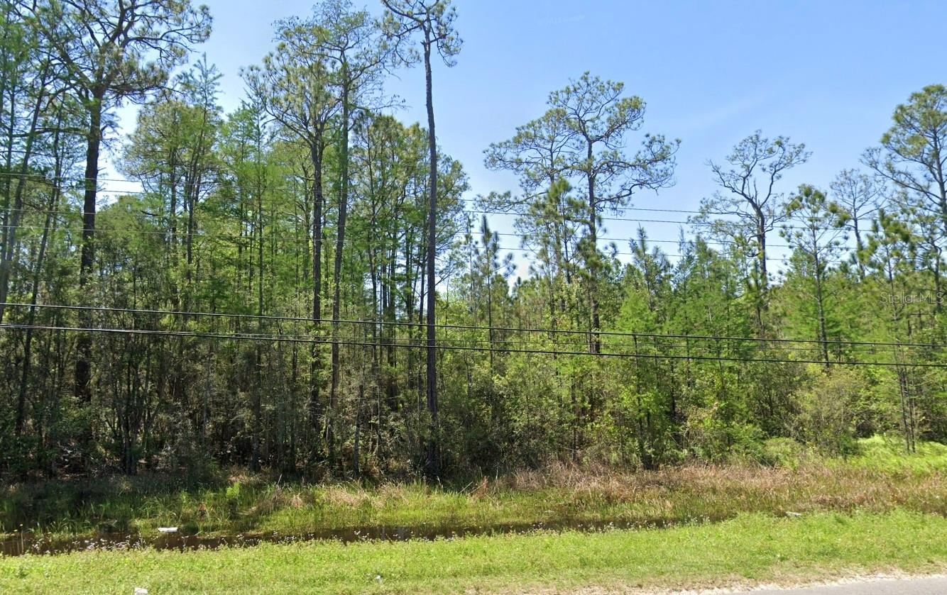 JACKSONVILLE SOUTH - Land