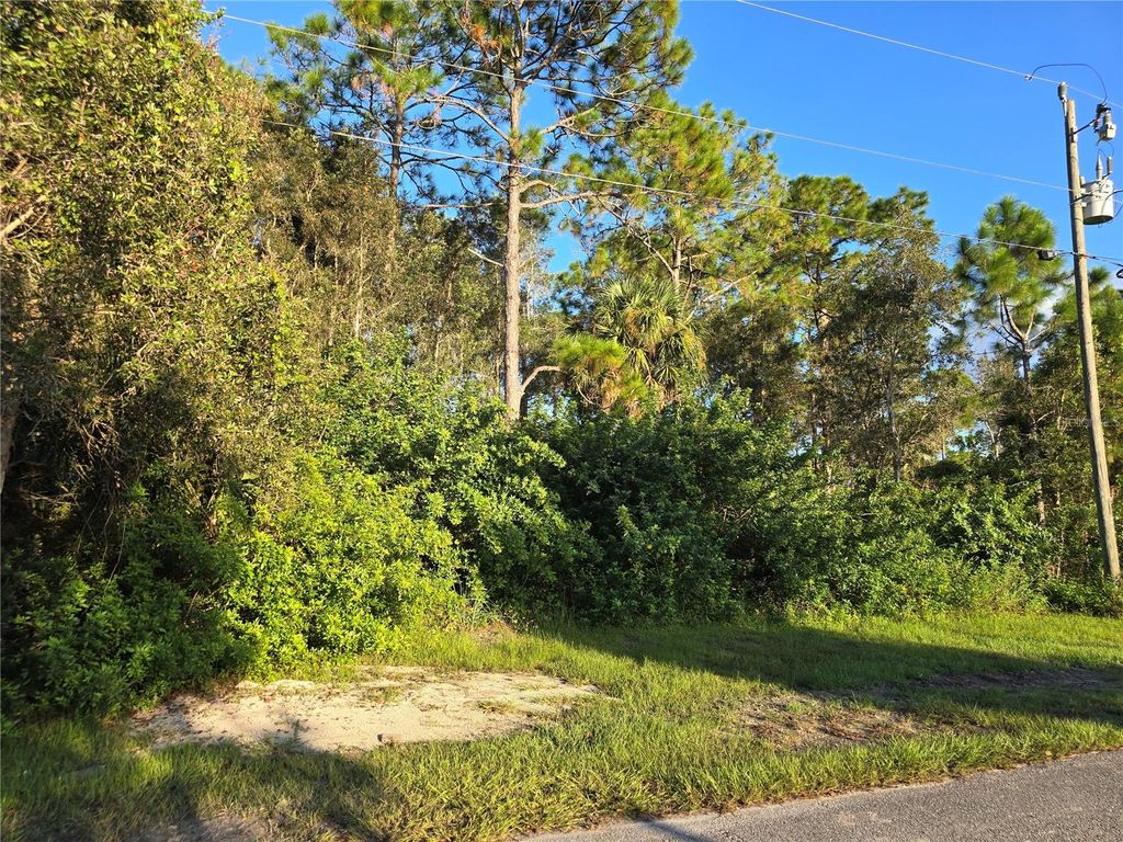 Photo of 6012 Sara Avenue N, Lehigh Acres, FL 33971 (MLS # O6353943)
