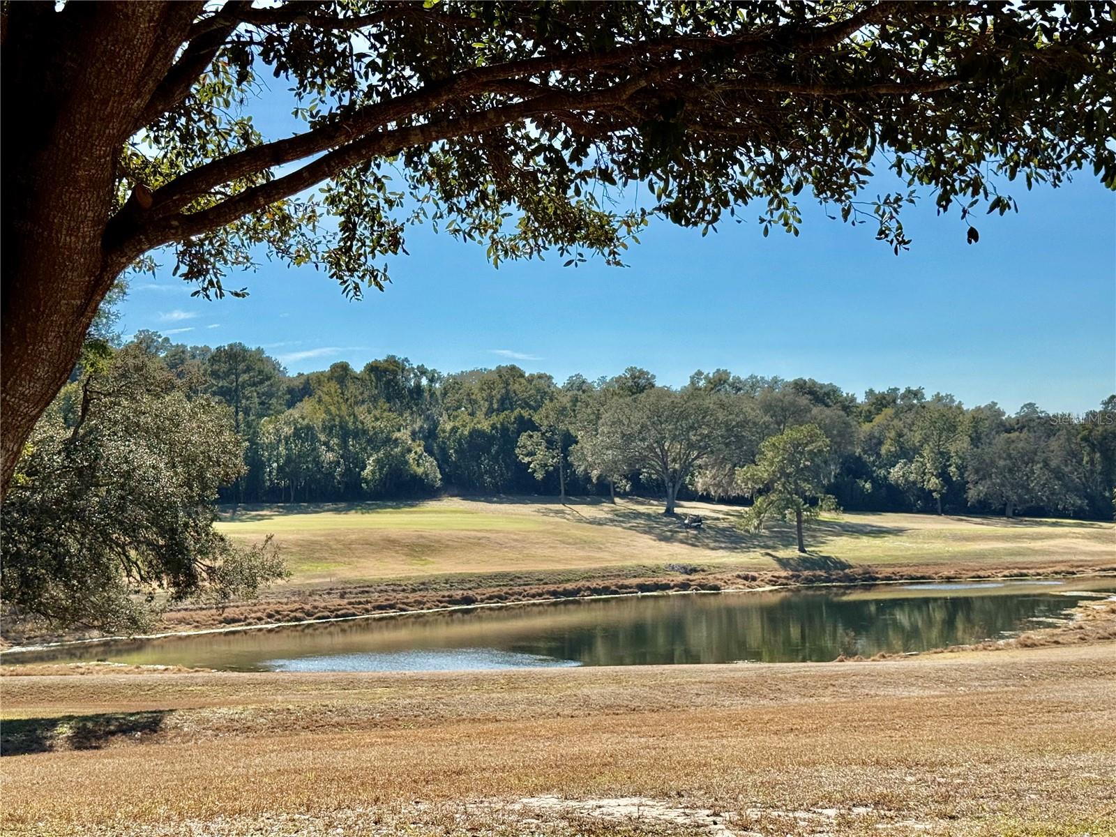 ZELLWOOD STATION COOP MH PARK - Residential