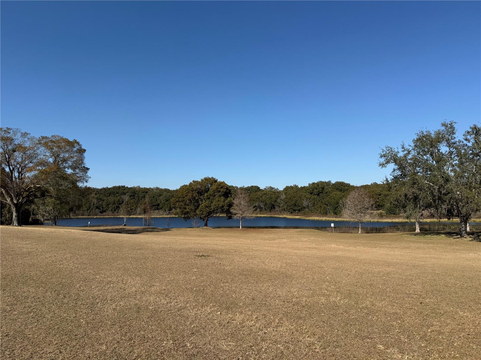 ZELLWOOD STATION COOP MH PARK - Residential