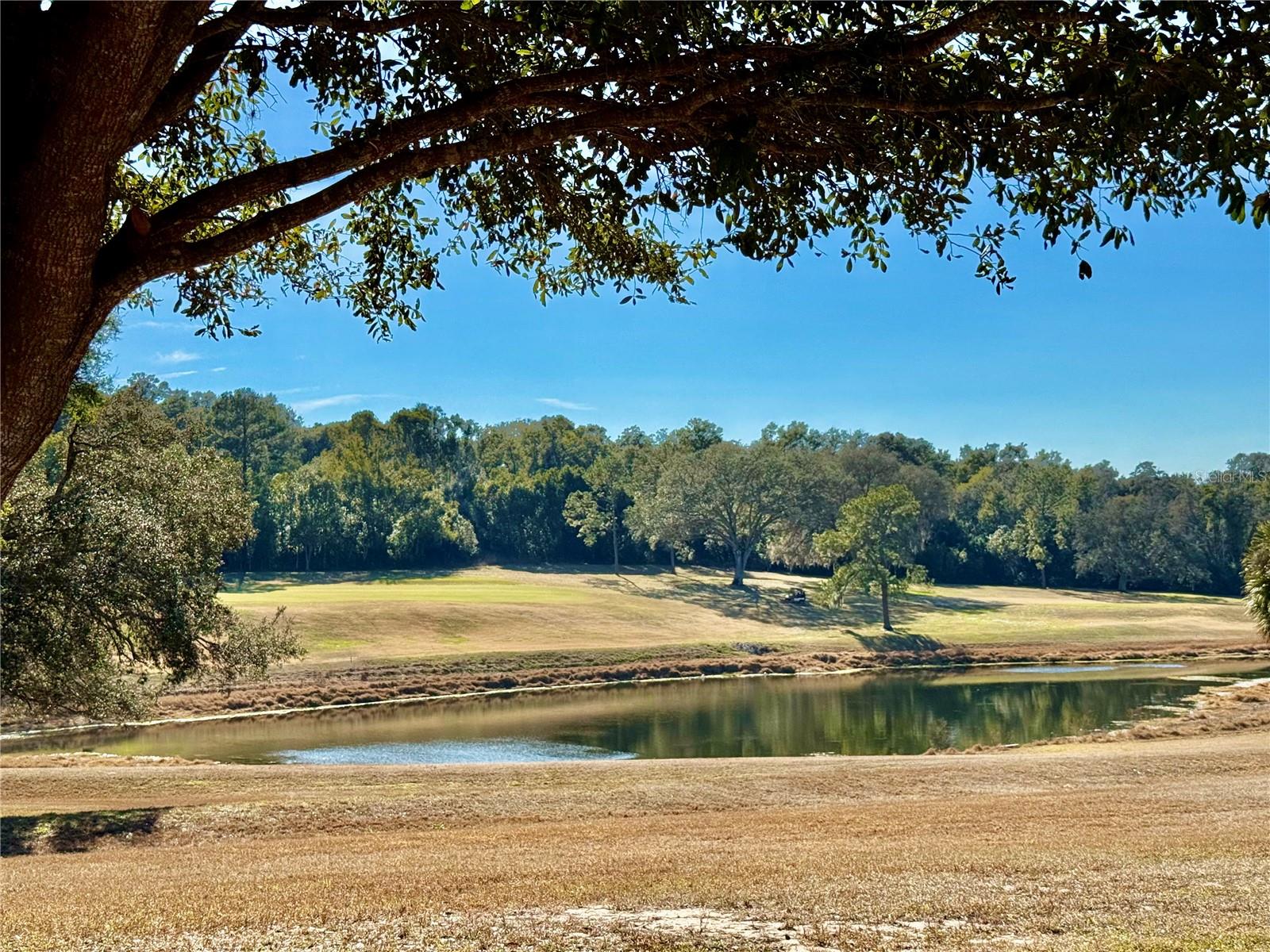 ZELLWOOD STATION COOP MH PARK - Residential