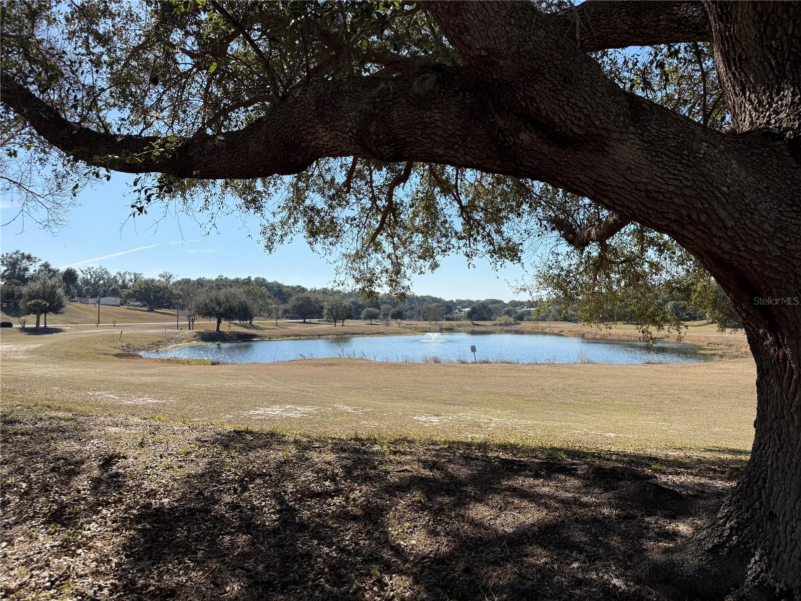 ZELLWOOD STATION COOP MH PARK - Residential