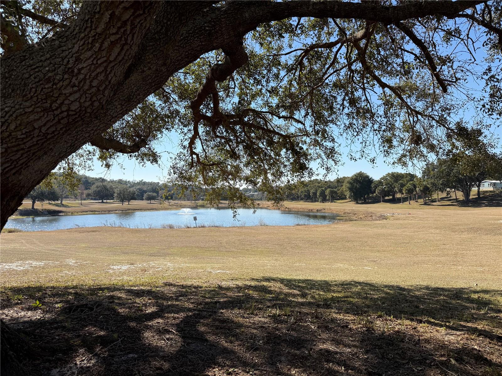 ZELLWOOD STATION COOP MH PARK - Residential