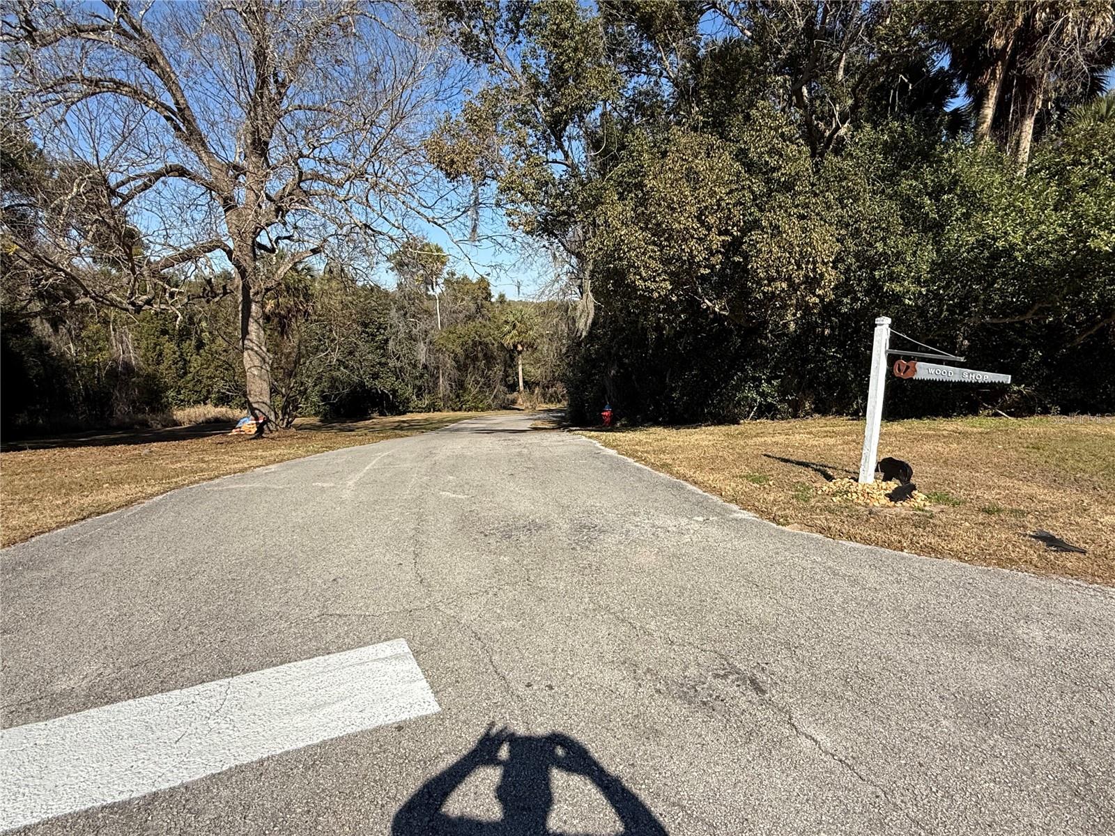 ZELLWOOD STATION COOP MH PARK - Residential