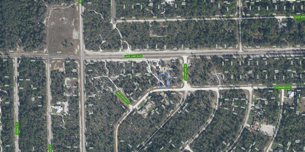 Photo of 3324 Gossamer Avenue, Lake Placid, FL 33852 (MLS # A4695235)