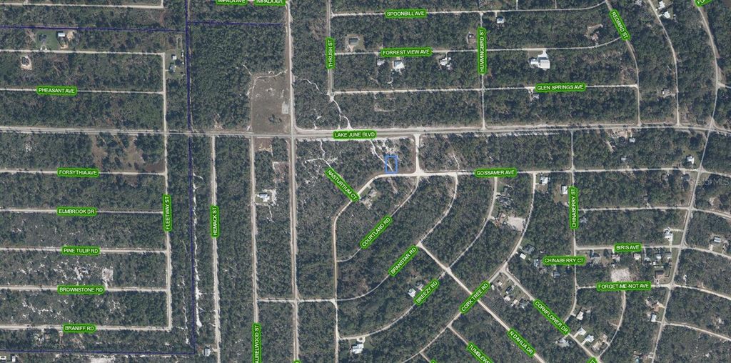 Photo of 3324 Gossamer Avenue, Lake Placid, FL 33852 (MLS # A4695235)