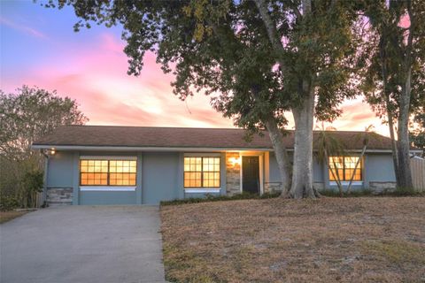 Photo of 11213 Creekview Drive, Riverview, FL 33569 (MLS # TB8446292)