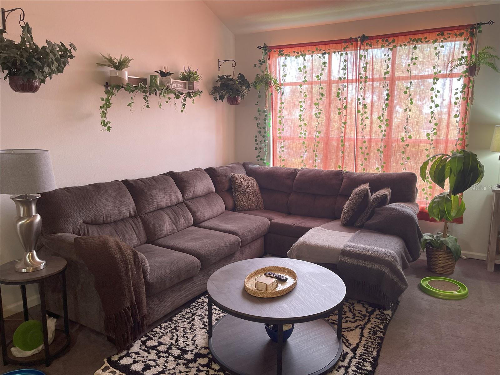 THE PALMS OF CORTEZ - Residential