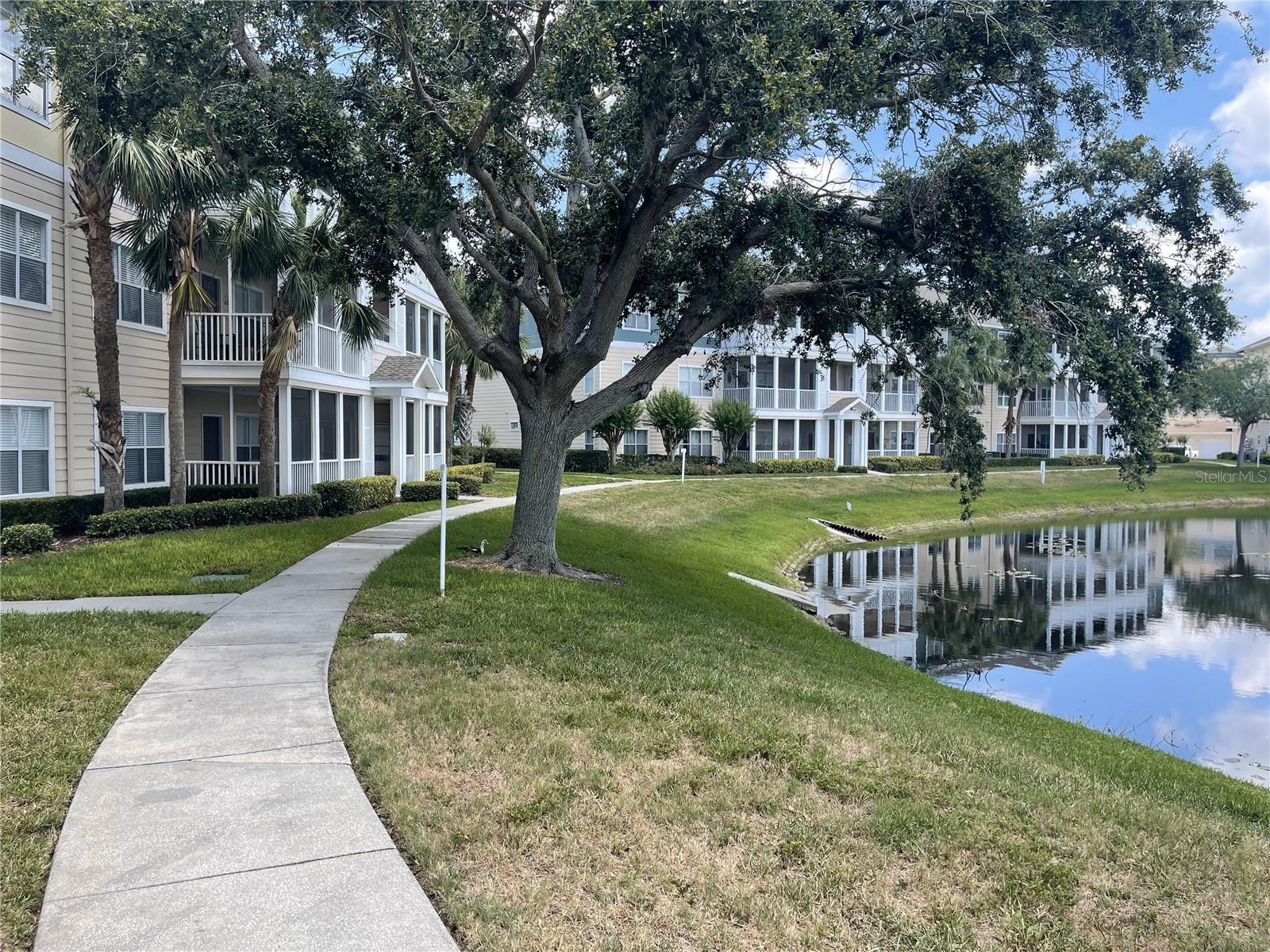 THE PALMS OF CORTEZ - Residential