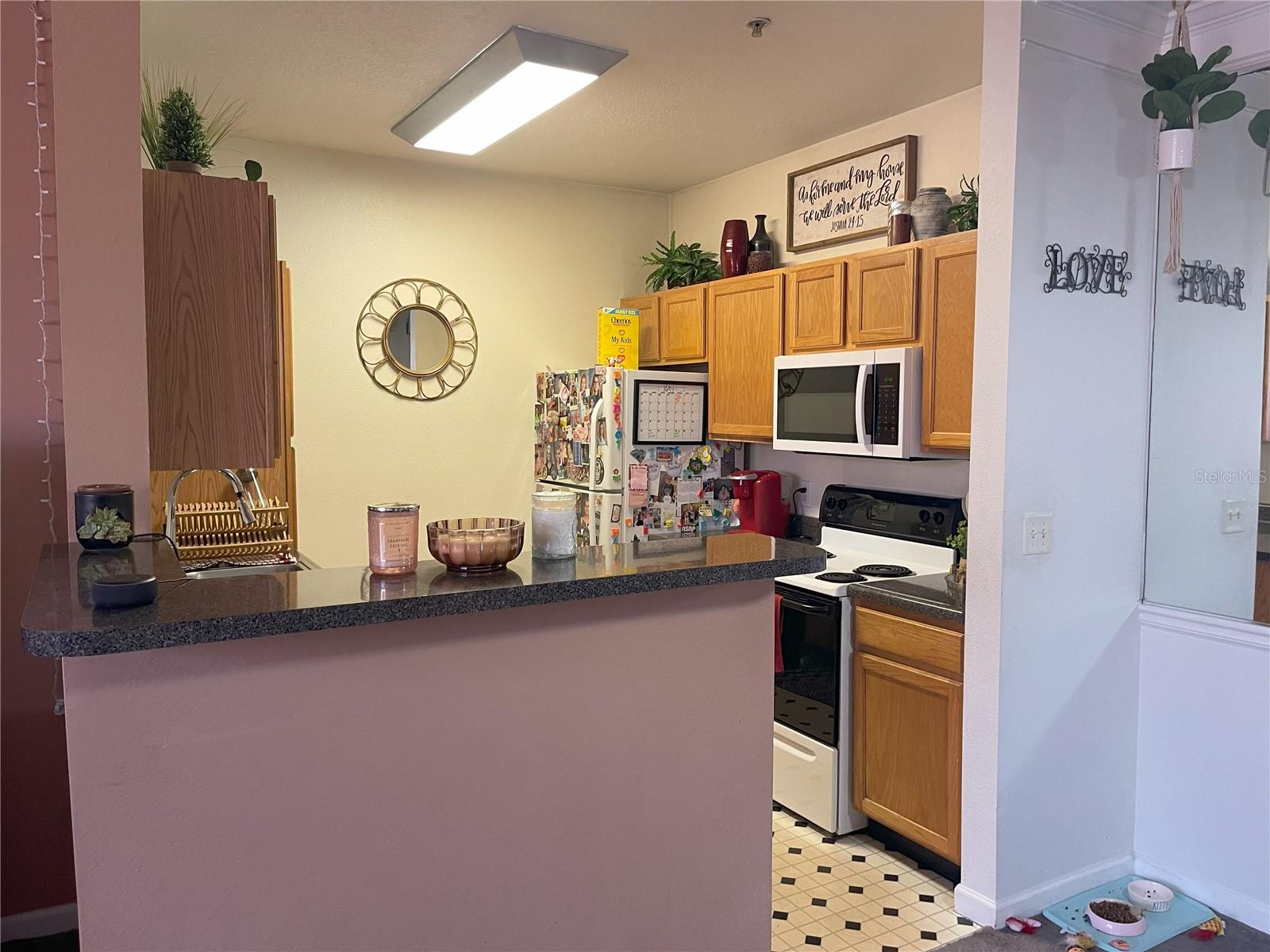 THE PALMS OF CORTEZ - Residential