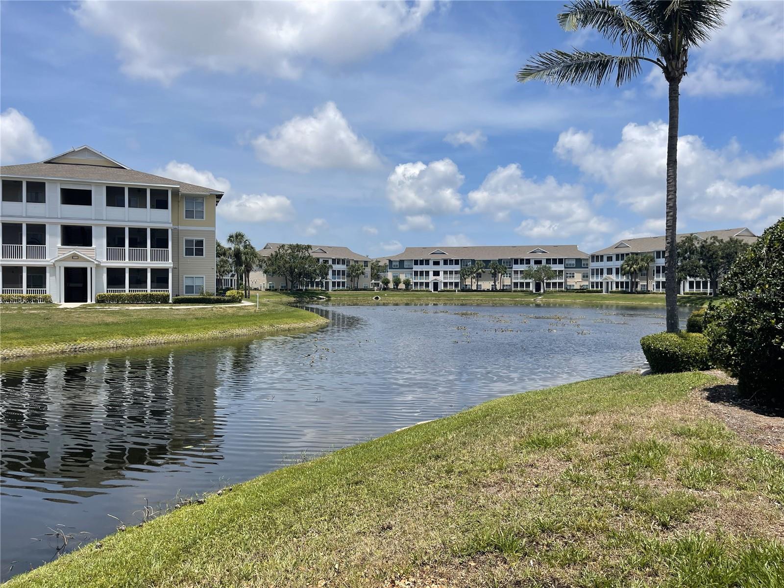 THE PALMS OF CORTEZ - Residential
