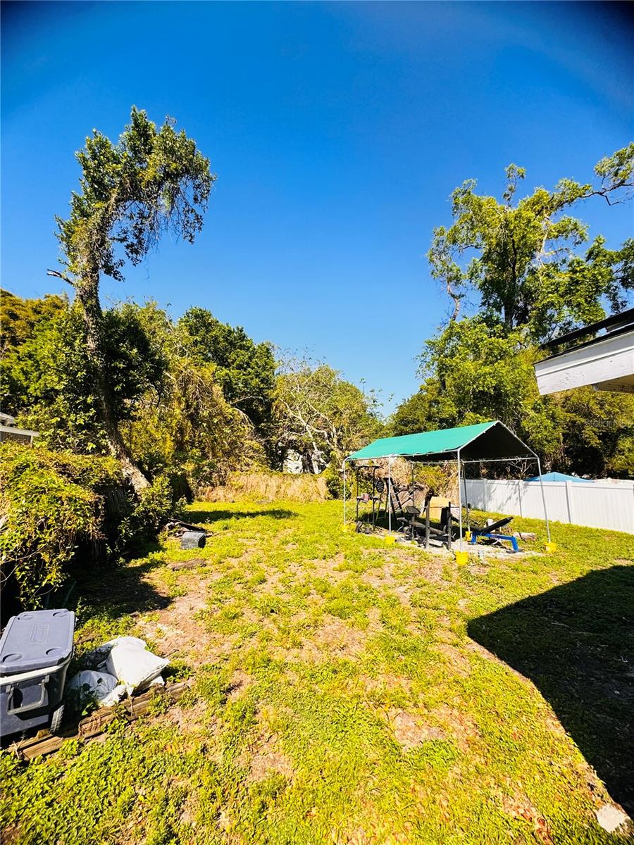 DRUID HILLS REV - Residential