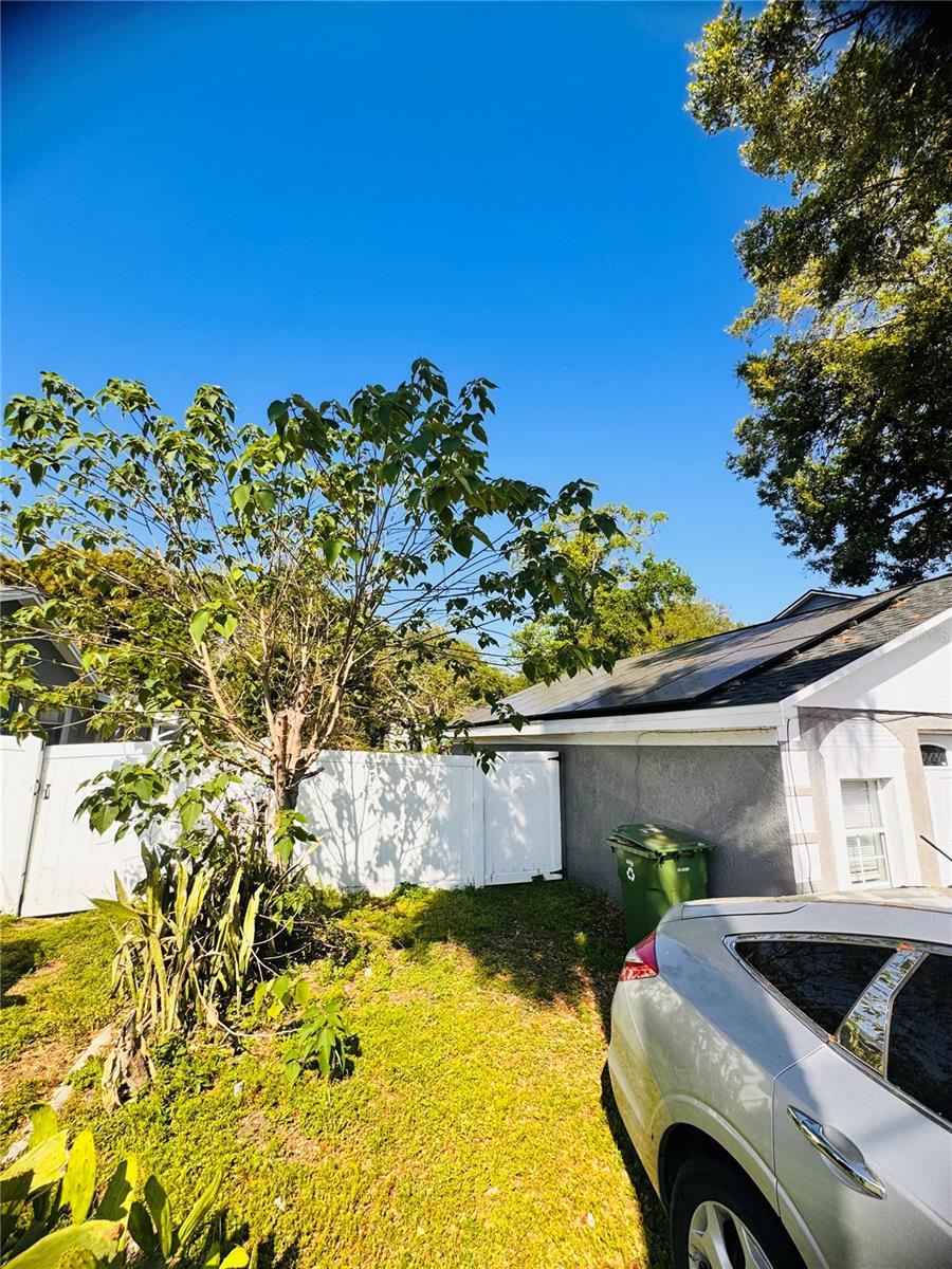 DRUID HILLS REV - Residential