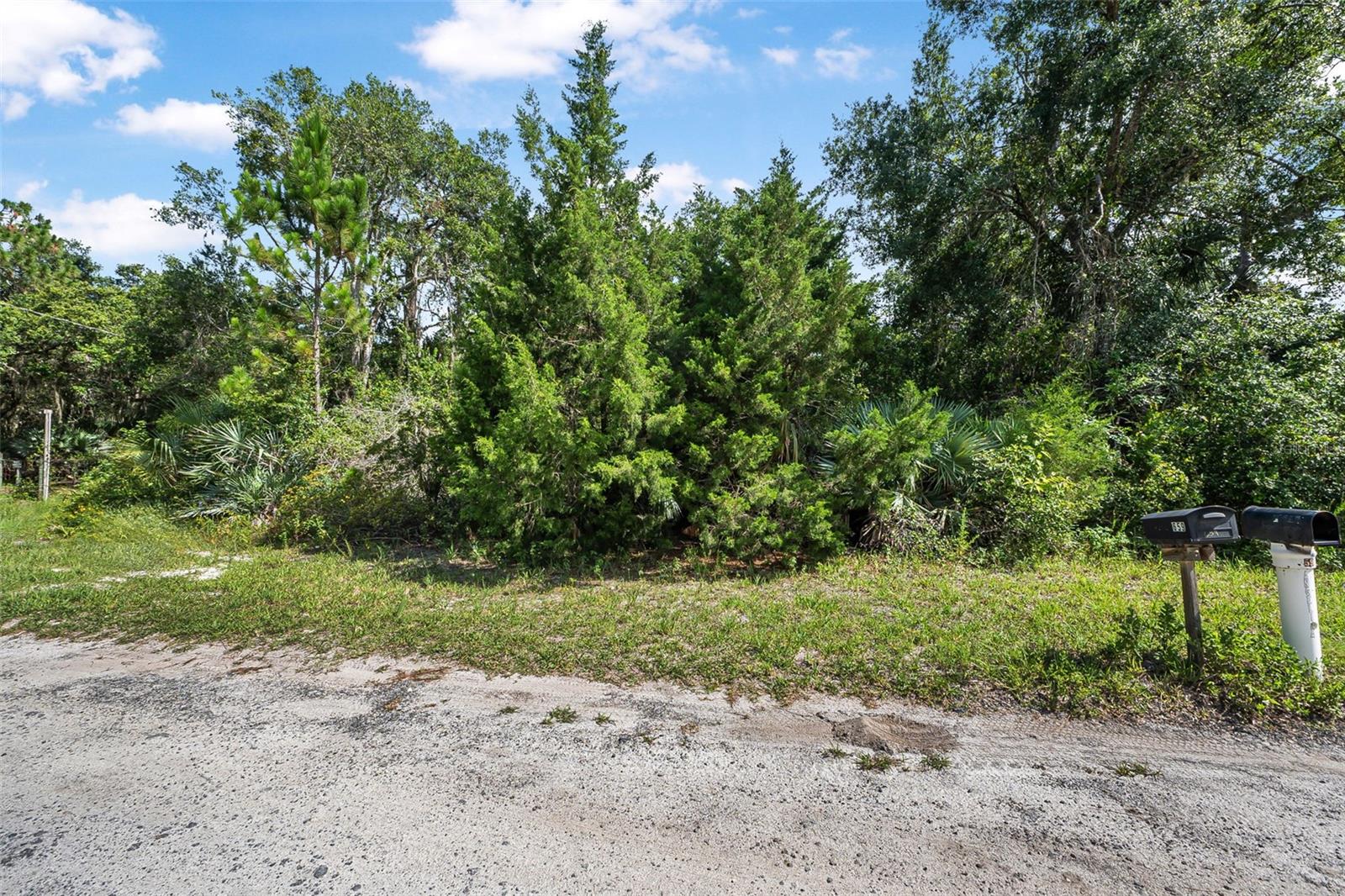 Discover the perfect blend of privacy and potential with this beautiful vacant lot nestled in the heart of Oak Hill. Surrounded by lush Florida greenery and located on a quiet, unpaved road, this property offers a peaceful, natural setting with no HOA restrictions. Whether you're envisioning a custom-built home, weekend retreat, or long-term investment, this lot gives you the space and freedom to make it happen. Just minutes from the Indian River you’ll enjoy both tranquility and convenience. Don’t miss your chance to own a piece of paradise in this fast-growing area! No utilities on property as it stands and all information deemed accurately but Buyer to verify.