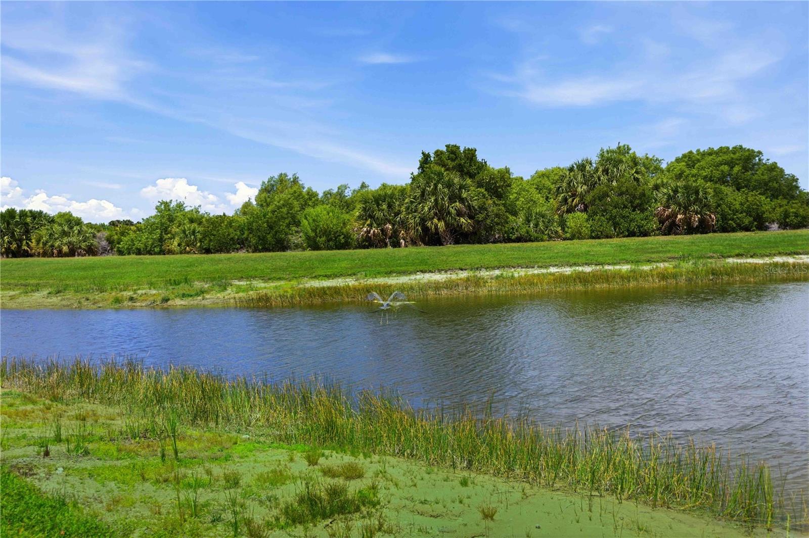 SARASOTA NATIONAL - Residential