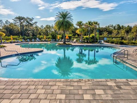 A home in WESLEY CHAPEL