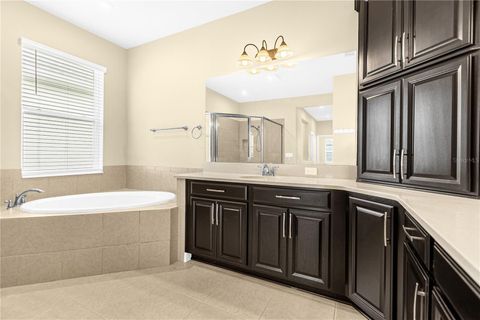 Tiny photo for 3387 Current Avenue, Winter Garden, FL 34787 (MLS # O6363657)