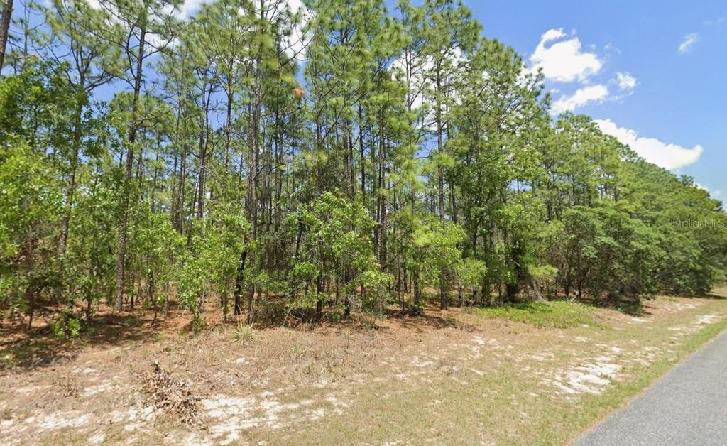 Photo of 3704 W Lappula Lane, Citrus Springs, FL 34433 (MLS # TB8466556)