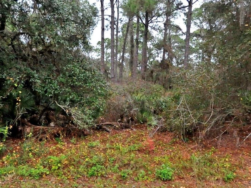 Excellent opportunity to own vacant land in North Port, one of Southwest Florida’s fastest-growing areas. Close to schools, shopping, dining, and main roadways, with no HOA or deed restrictions. A great addition to any portfolio.