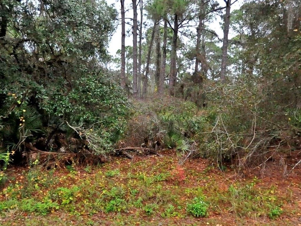 Photo of Neon Avenue, North Port, FL 34291 (MLS # A4690307)