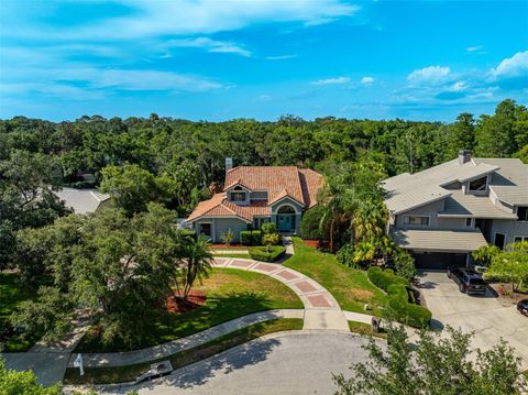 A home in SAFETY HARBOR