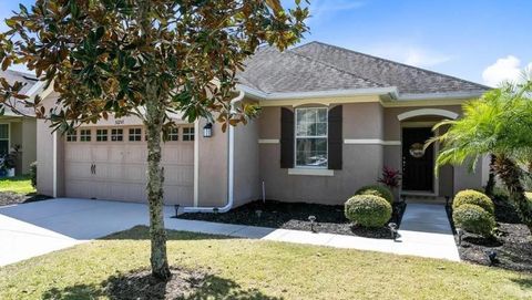 30245 CHEVAL STREET MOUNT DORA FL 32757