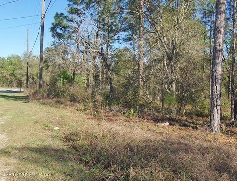 Tiny photo for 2802 W Buccaneer Lane, Citrus Springs, FL 34433 (MLS # C7527795)