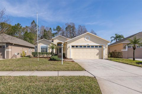 1153 DUSTAN PLACE TRINITY FL 34655