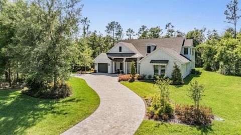 Photo of 17712 Royal Eagle Lane, Lutz, FL 33549 (MLS # TB8375609)