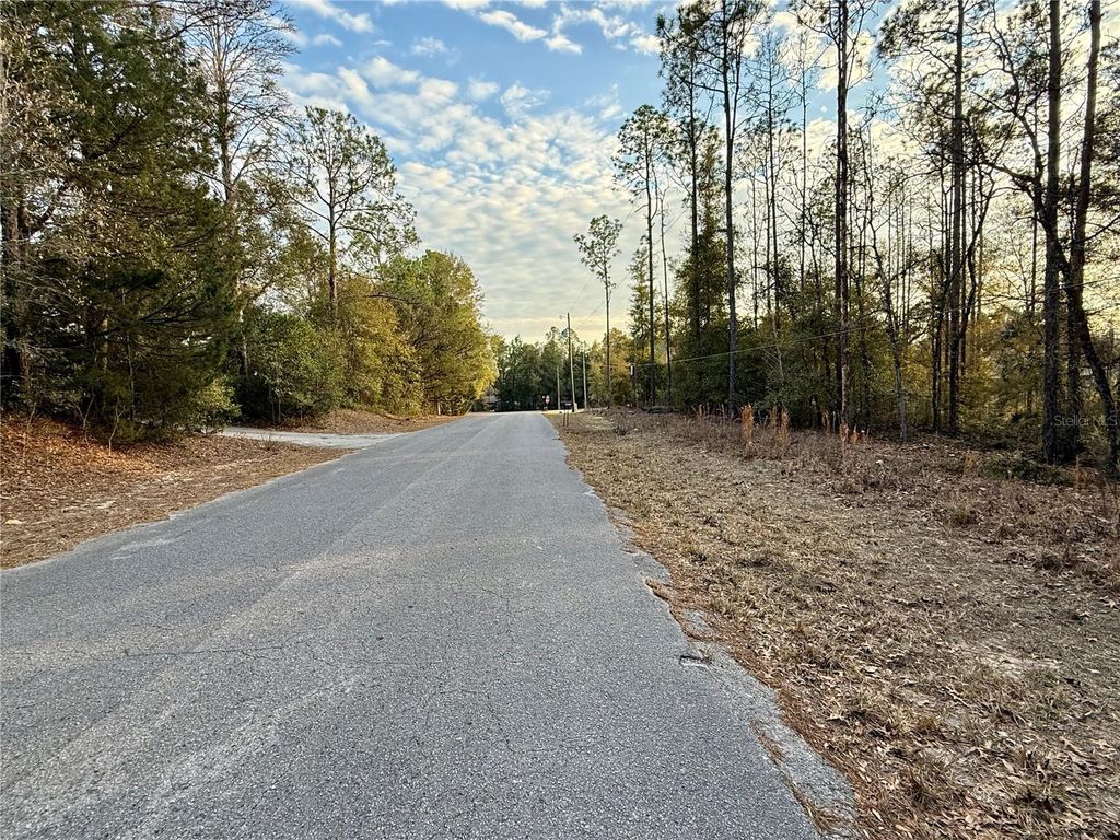 Photo of SW 205th Circle, Dunnellon, FL 34431 (MLS # O6382559)