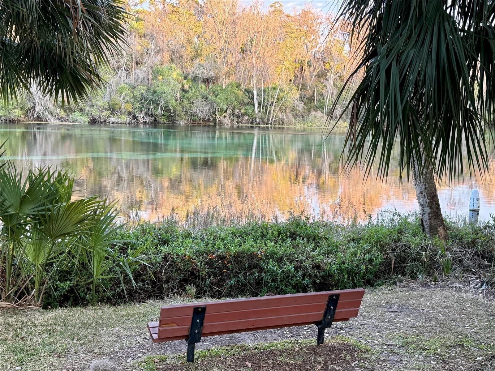 RAINBOW SPGS 01 REP - Land