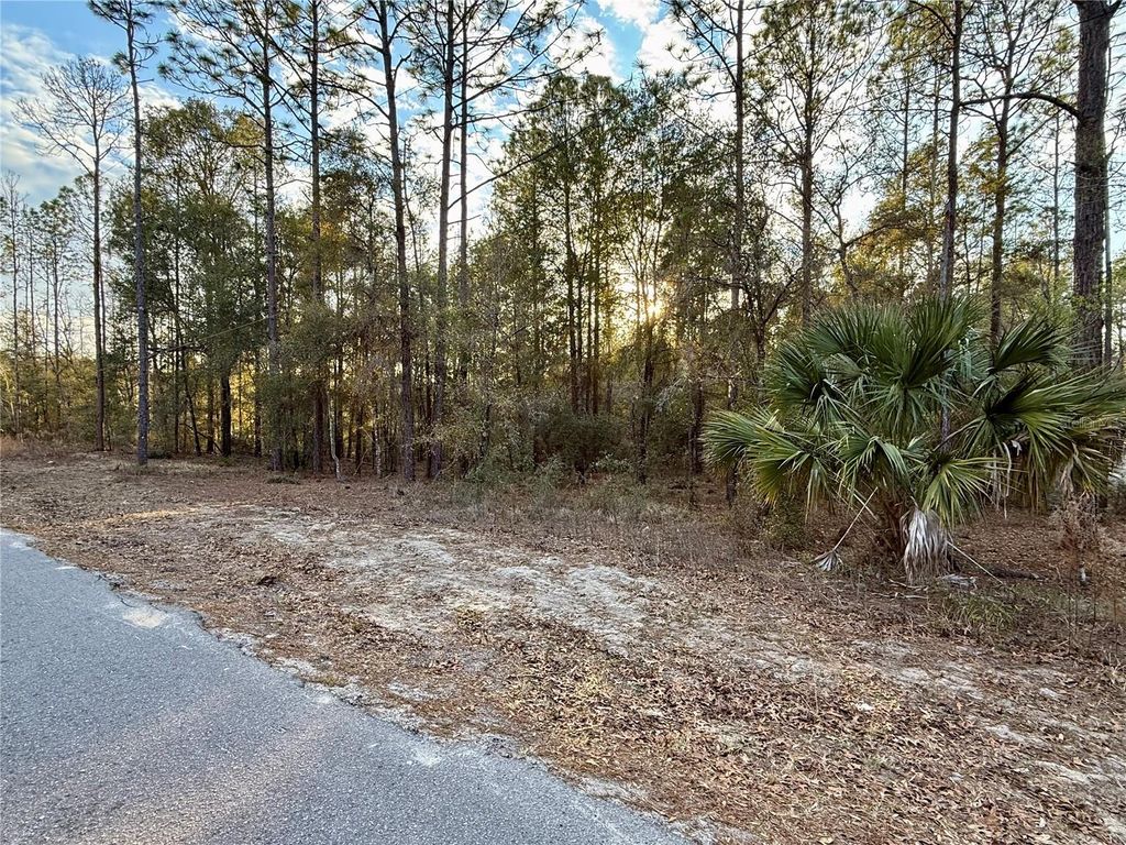 Photo of SW 205th Circle, Dunnellon, FL 34431 (MLS # O6382559)