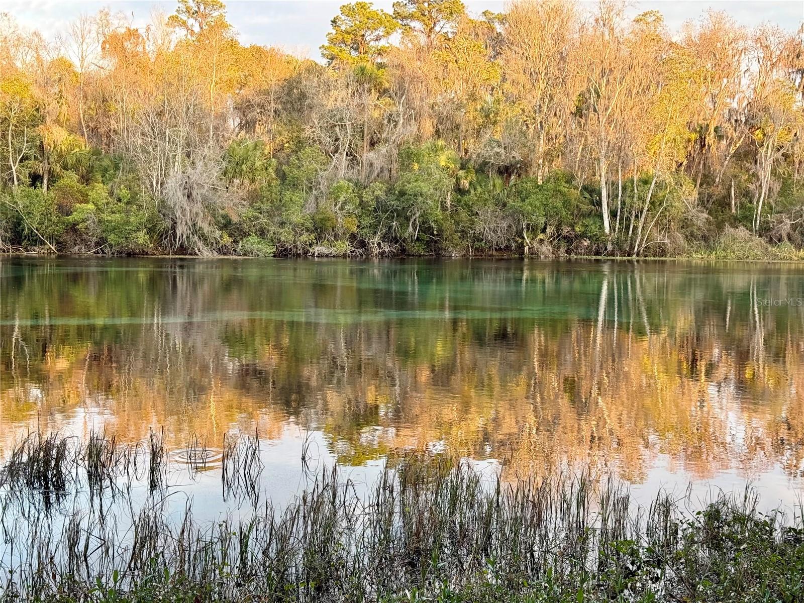 RAINBOW SPGS 01 REP - Land
