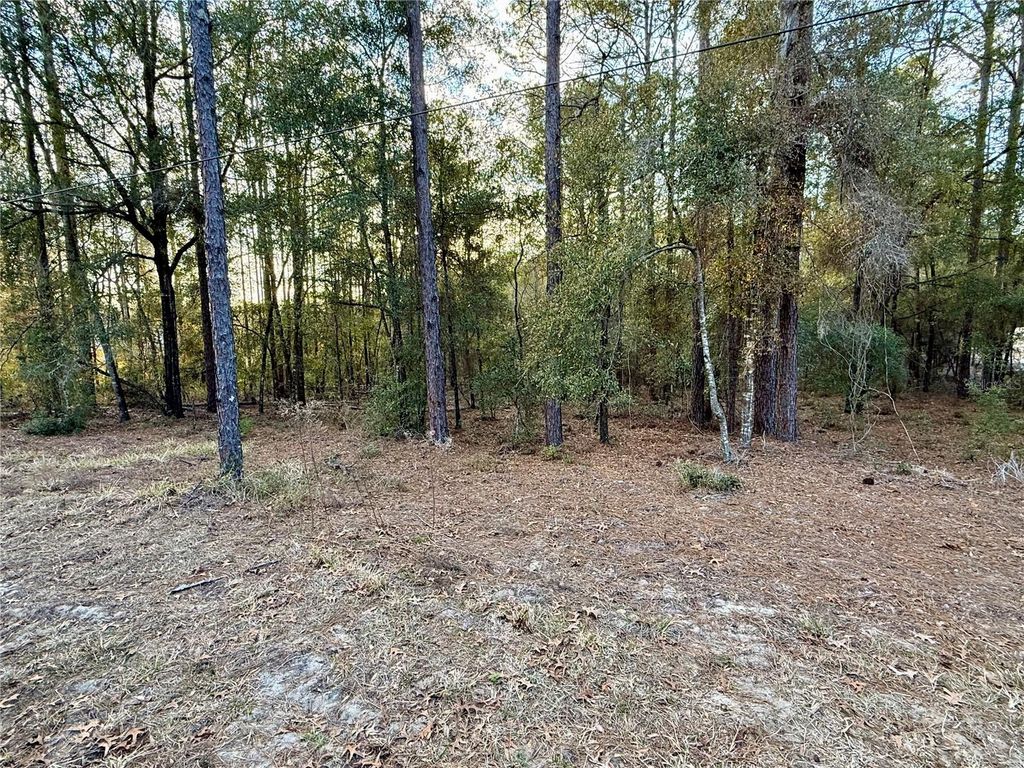 Photo of SW 205th Circle, Dunnellon, FL 34431 (MLS # O6382559)