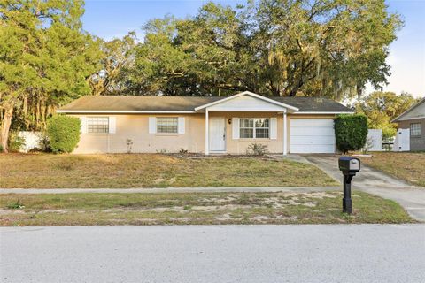 2740 E DELLWOOD DRIVE EUSTIS FL 32726