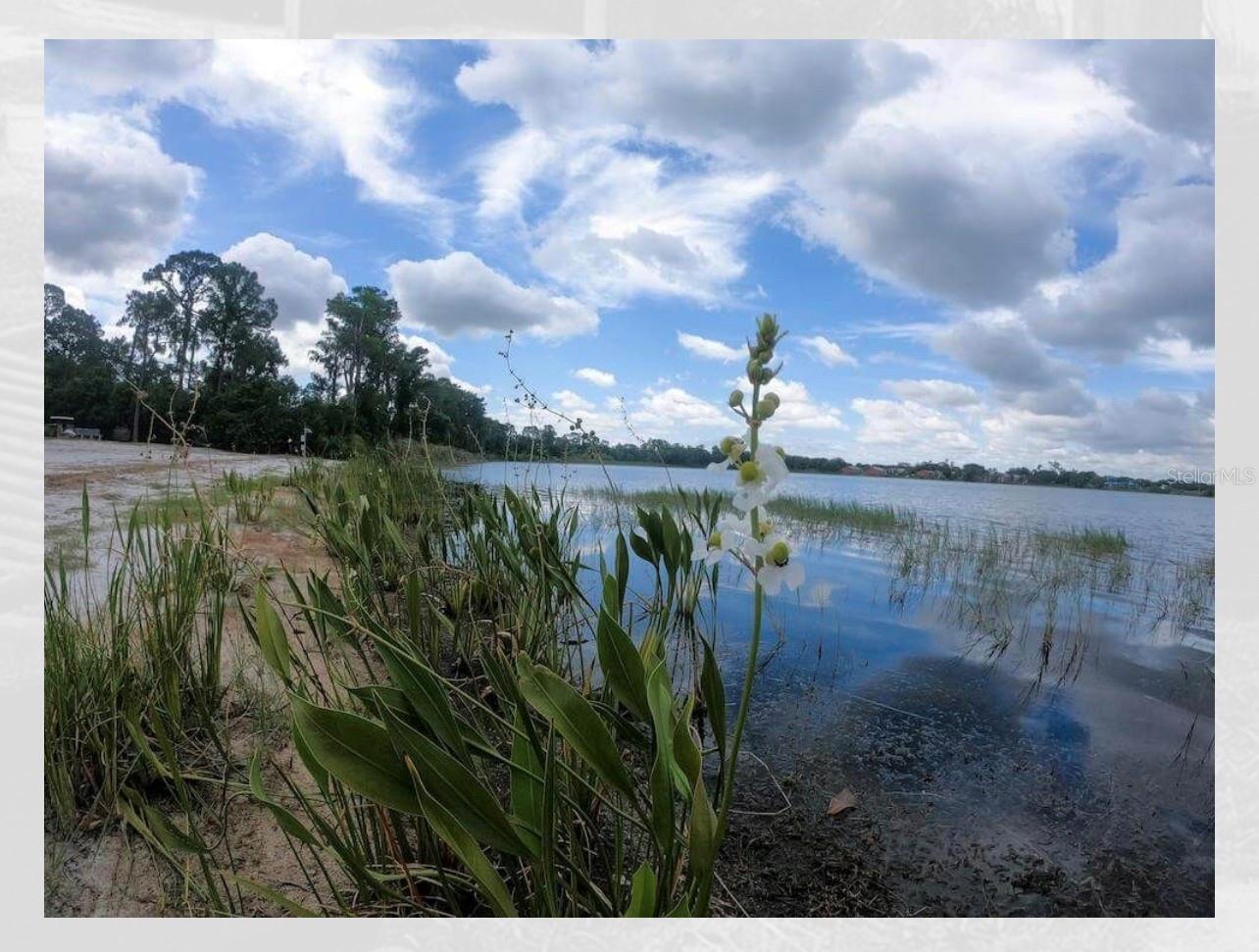 SOUTHPOINTE CONDO - Residential