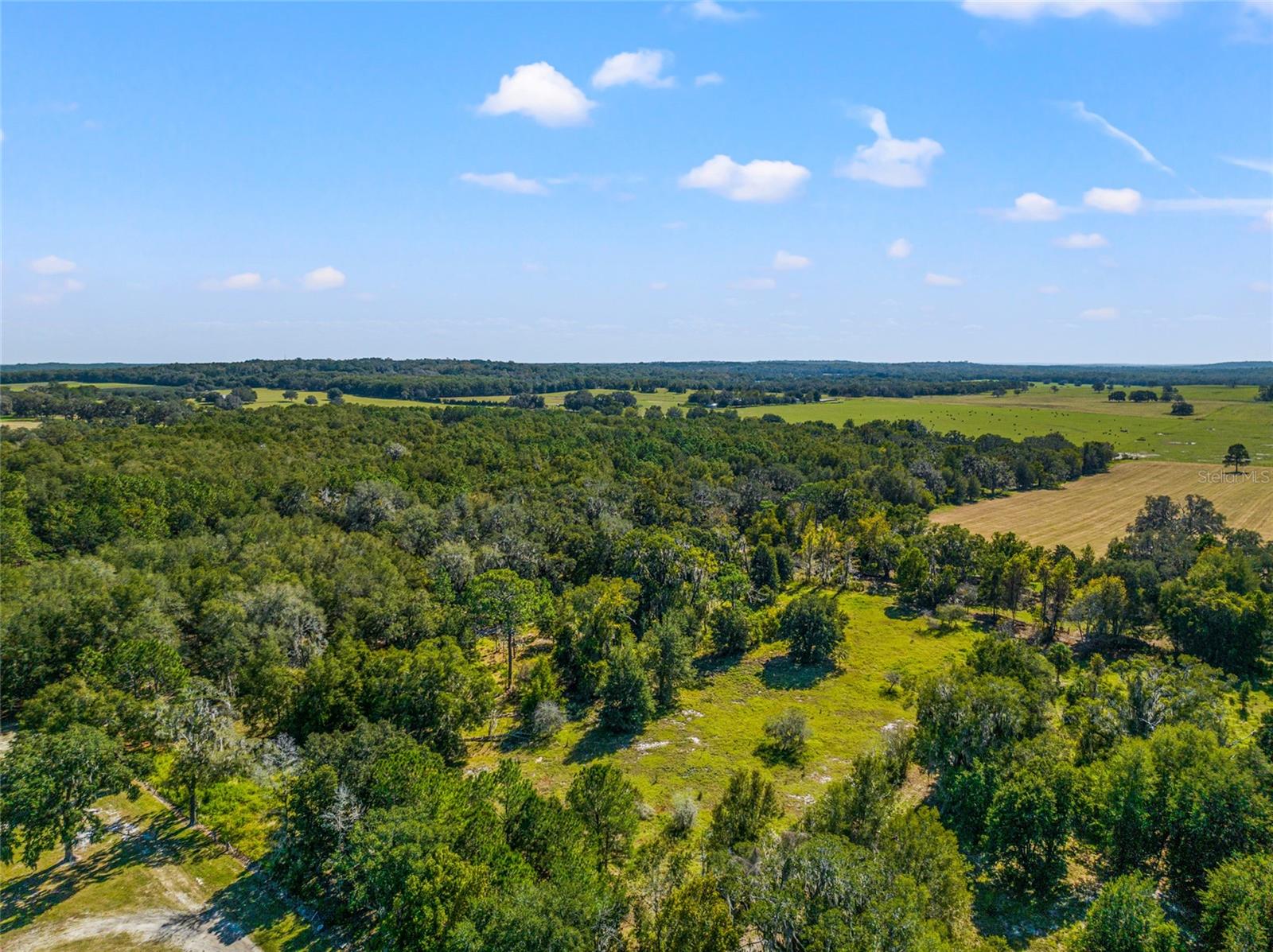 HILLS OF FLORIDA UNREC SUB - Land