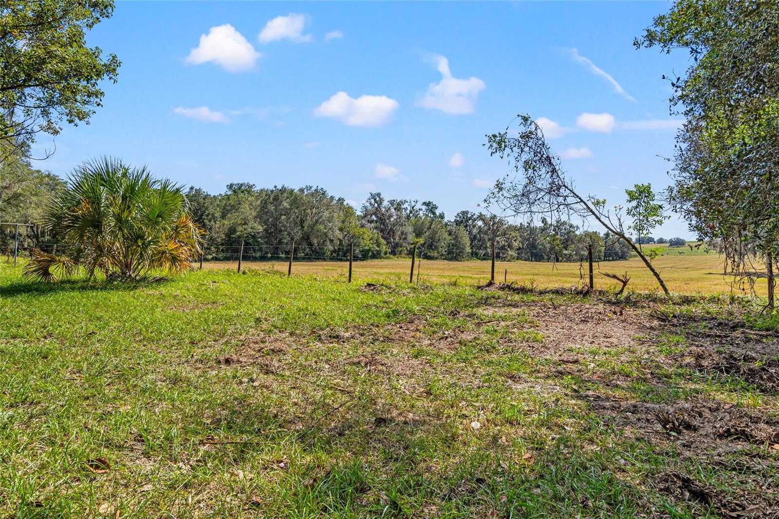 HILLS OF FLORIDA UNREC SUB - Land