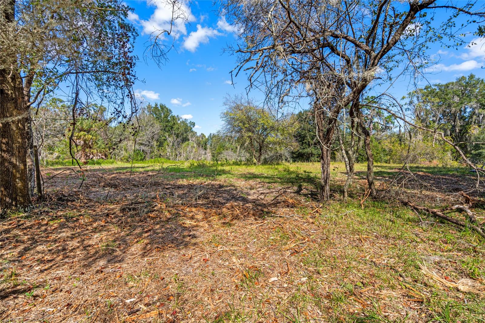 HILLS OF FLORIDA UNREC SUB - Land