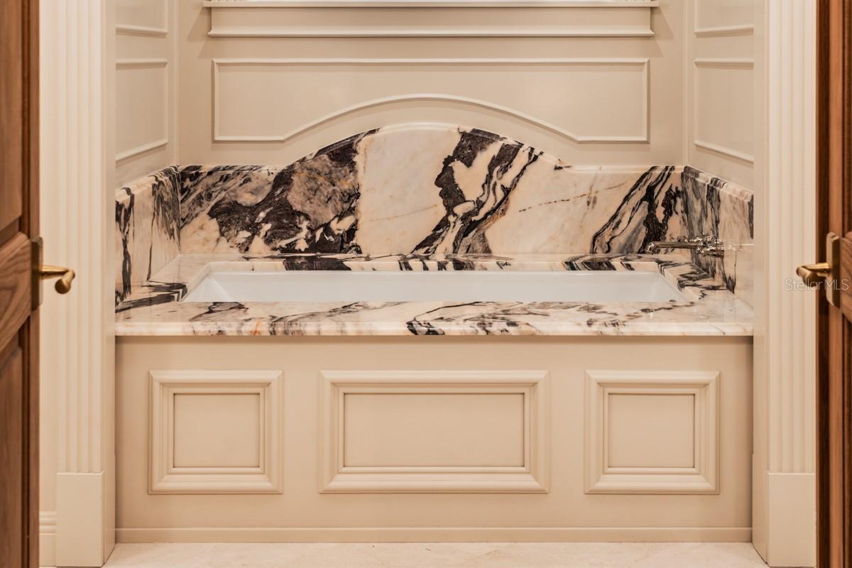 COBB ACRES ON LAKE TARPON - Residential