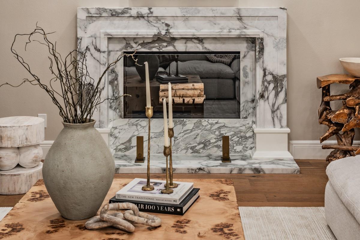 COBB ACRES ON LAKE TARPON - Residential