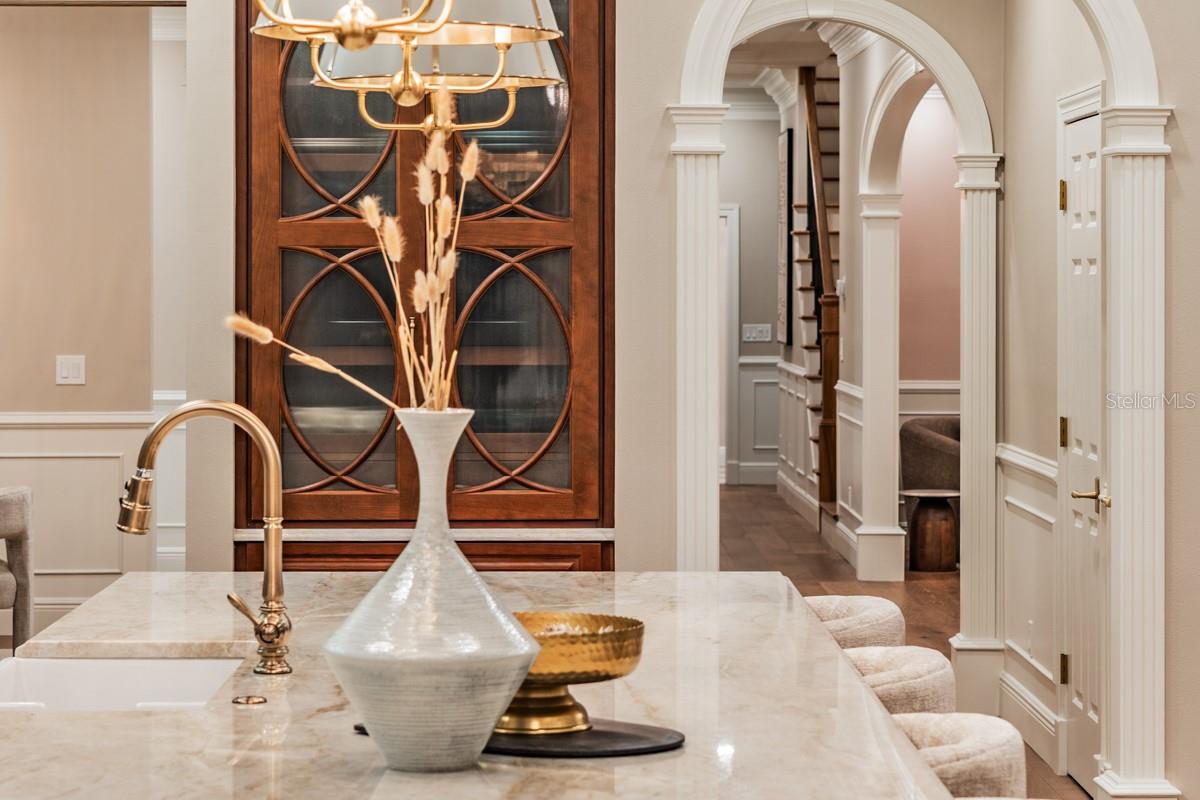 COBB ACRES ON LAKE TARPON - Residential