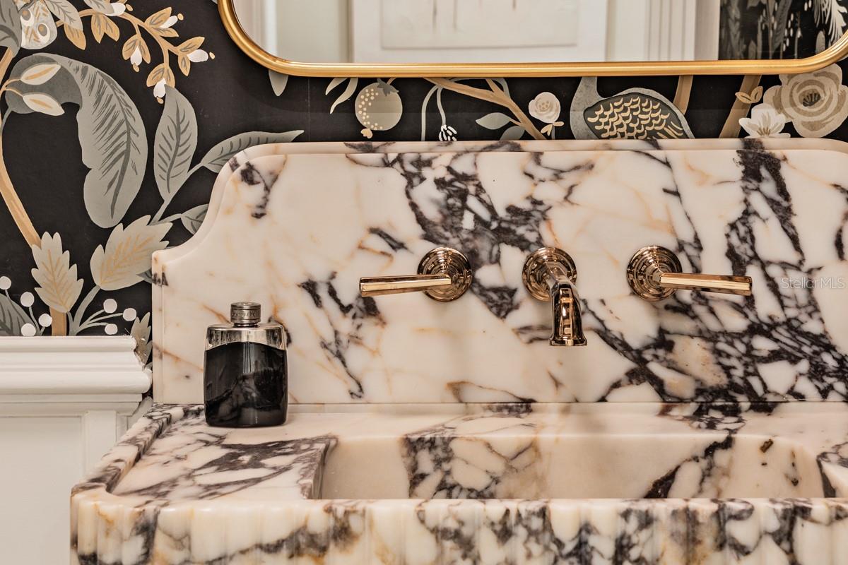 COBB ACRES ON LAKE TARPON - Residential