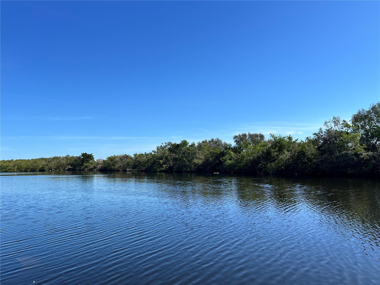 This 2 bedroom 2 bath waterfront home is move in ready and has 1,296 sq. ft. of living space. It has a composite dock and a lift, and looks over to the mangroves. It has a new vapor barrier and new AC ducts, the AC unit is 3 years old. The carport was new 2 years ago and there is parking under the carport for 2 cars as well as 2 spaces in the front of house. There is a separate laundry rom and a Florida Room. The furniture is negotiable as well as the 20' 1988 WOI Pontoon boat. This is a great opportunity to have a home with access to Tampa Bay. Price includes share for the lot and ownership in the co-op. Home is located in Americana Cove, a 55+, resident owned, waterfront community only 10 minutes from downtown St. Pete, 30 minutes from two airports and 25 minutes to Gulf beaches. Low monthly fee of $380 includes 24 hour manned gate, private streets, water/sewer, lawn moving/edging, trash pick up twice weekly and all amenities including heated pool, shuffleboard, bocce ball, two boat ramps and kayak launches well as many clubs and activities to get involved in. Two pets up to 35 pounds are welcomed.