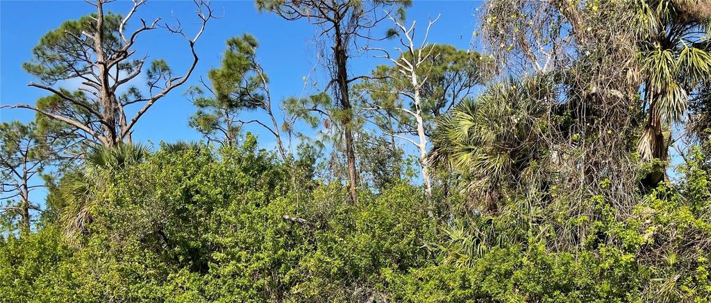 Photo of 106 Hawk Drive, Rotonda West, FL 33947 (MLS # C7505041)