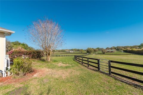 Tiny photo for 8785 NW 63rd Street, Ocala, FL 34482 (MLS # OM719570)