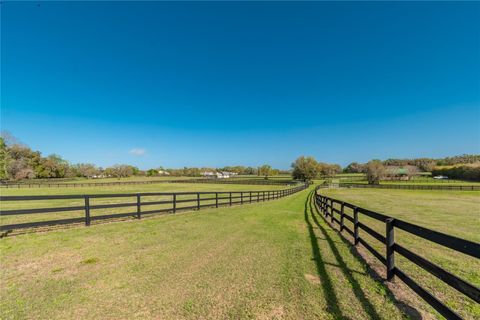 Tiny photo for 8785 NW 63rd Street, Ocala, FL 34482 (MLS # OM719570)