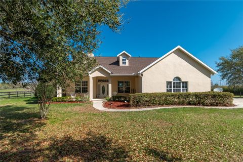 Tiny photo for 8785 NW 63rd Street, Ocala, FL 34482 (MLS # OM719570)