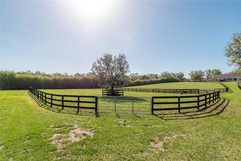 Tiny photo for 8785 NW 63rd Street, Ocala, FL 34482 (MLS # OM719570)